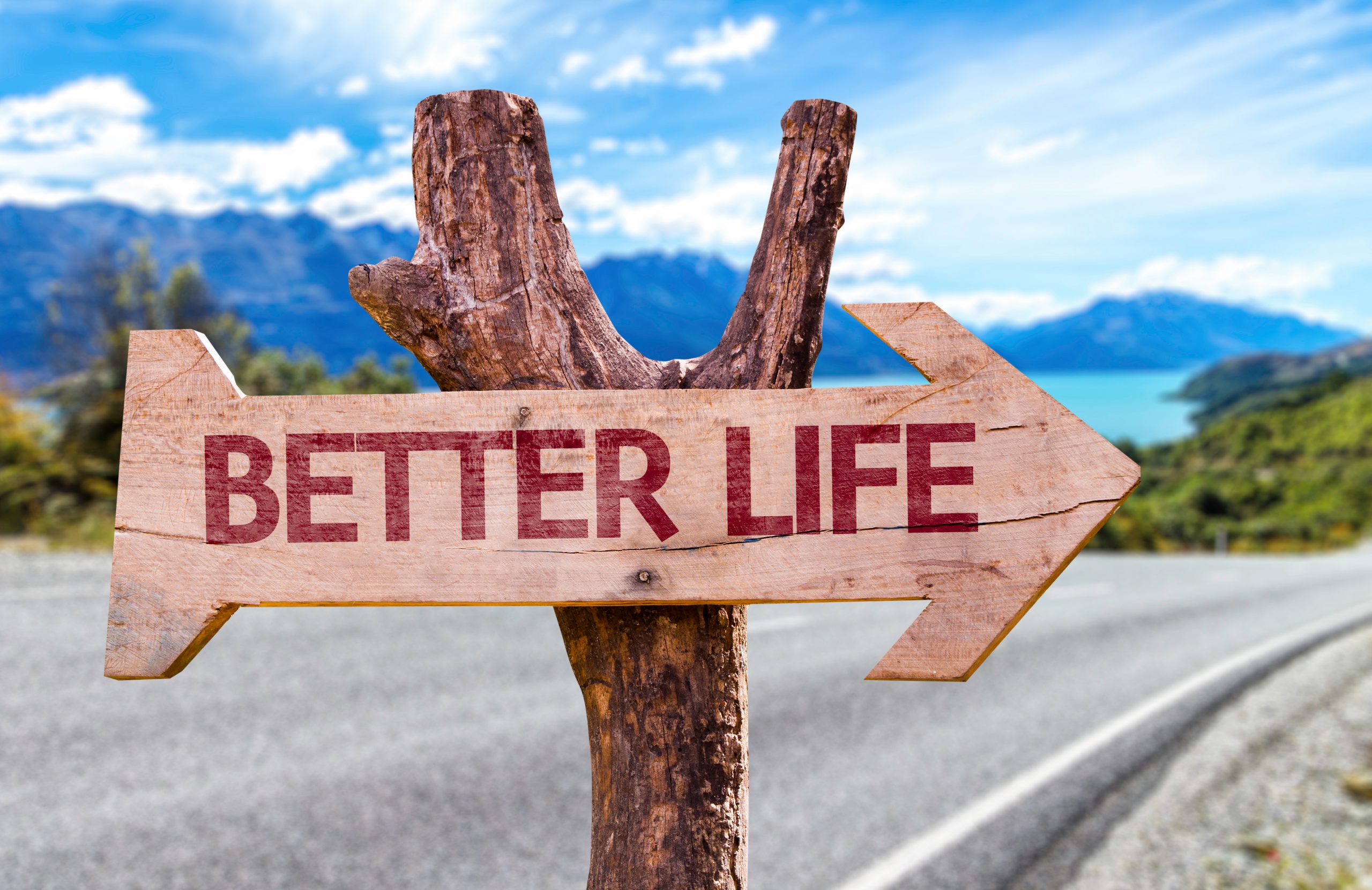 Better Life wooden sign with a landscape on background